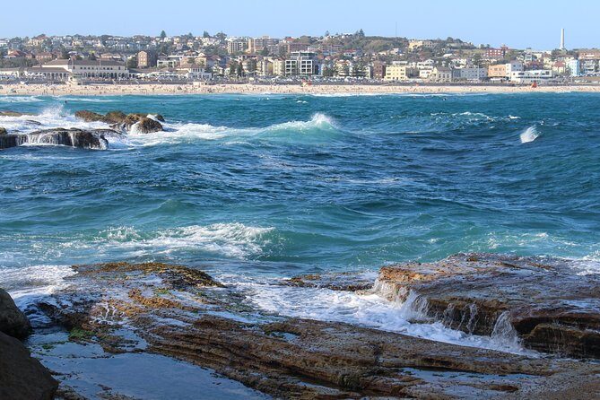 Private Sydney Discovery Tour - Who Should Book This Tour?