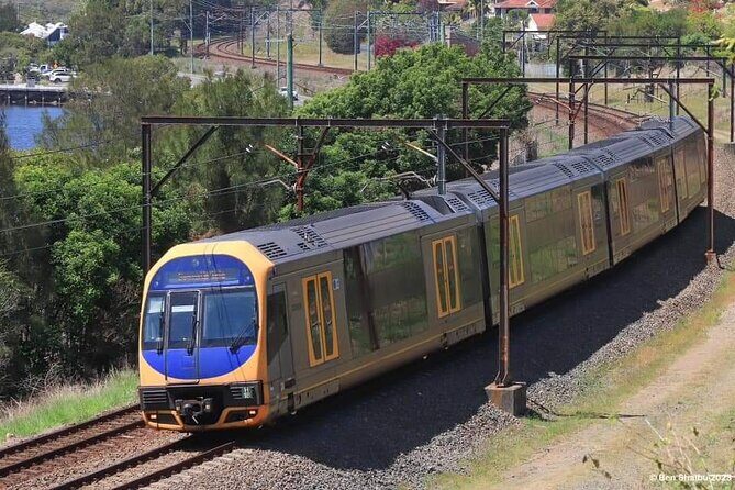 Private Sydney Rail Tours - See Best Sights by Train - A Deep Dive into the Experience