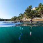 Private Sydney Snorkeling Experience: Explore Cabbage Tree Bay - What Makes This Snorkeling Tour Stand Out