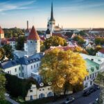 Private Tallinn Day Trip from Helsinki - What Makes This Tour Stand Out?