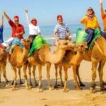 Private Tangier Tour from Gibraltar including Camel & Lunch - A Deep Dive into the Experience