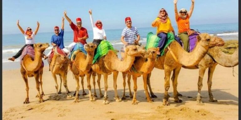 Private Tangier Tour from Gibraltar including Camel & Lunch - A Deep Dive into the Experience