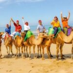 Private Tangier Tour with Lunch and Camel Ride - Final Thoughts: Who Will Love This Tour?