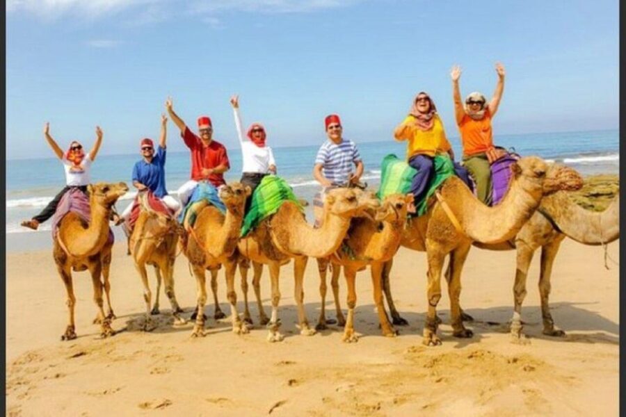 Private Tangier Tour with Lunch and Camel Ride - Final Thoughts: Who Will Love This Tour?