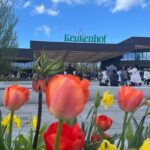 Private Taxi to Keukenhof Tulip Fields & Flowers From Amsterdam - Final Thoughts