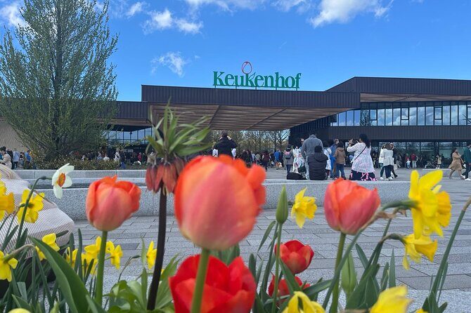 Private Taxi to Keukenhof Tulip Fields & Flowers From Amsterdam - Final Thoughts