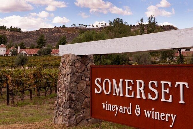 Private Temecula Wine Tour from Bonsall - Transportation, Timing, and Group Dynamics