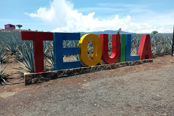 Private Tequila Tour in Guadalajara - An In-Depth Look at the Tequila Tour Experience