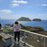 Private Terceira Island Half-Day: Enchanted Bays + tasting - A Deep Dive into the Tour Experience