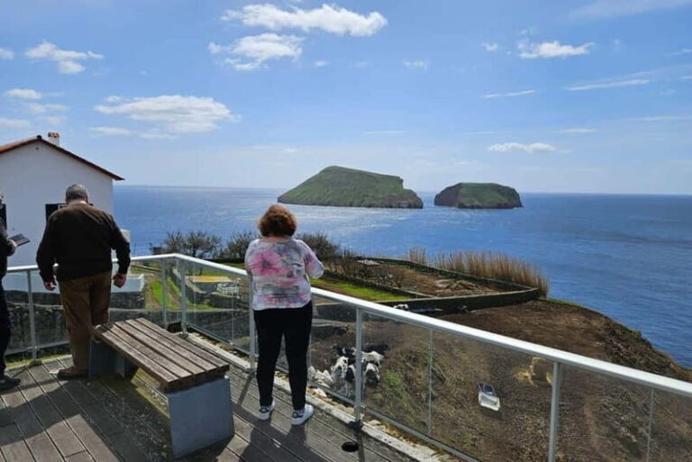 Private Terceira Island Half-Day: Enchanted Bays + tasting - A Deep Dive into the Tour Experience