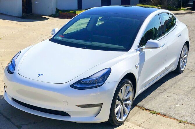 Private Tesla Transfer: Auckland, Tauranga, Rotorua, Taupo - The Sum Up