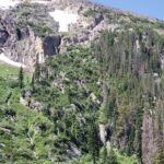 Private Three Hour Afternoon Custom Tour of Rocky Mountain National Park - Entering Rocky Mountain National Park: Scenic Highlights and Stops
