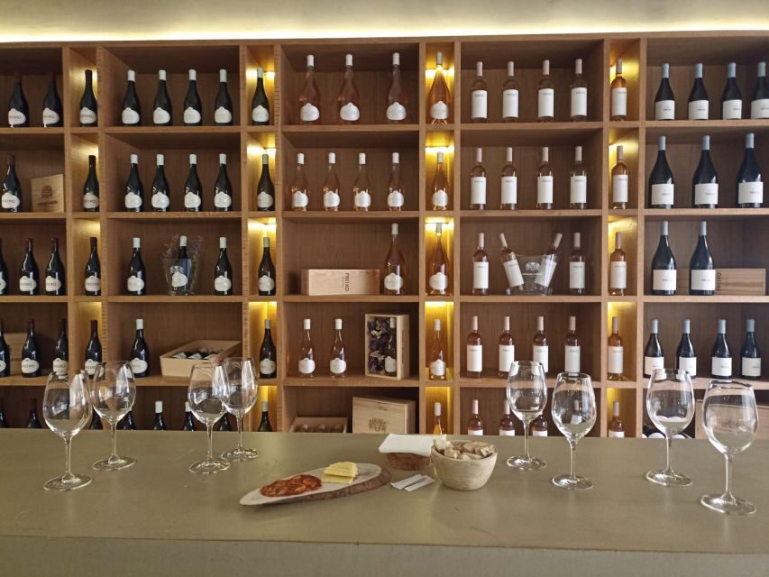 Private Tour Alentejo: Évora, WineTasting and Monsaraz - The Value of This Tour