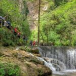 Private Tour: Amalfi Valle delle Ferriere Nature Reserve Walking Tour - A Deep Dive into the Valle delle Ferriere Walking Tour