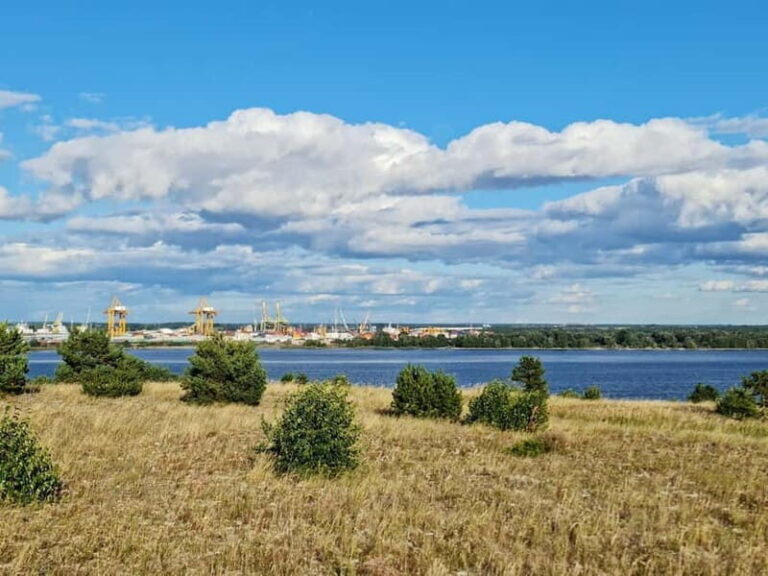 Private Tour: Amber Catching in Curonian Spit from Klaipeda - Final Thoughts: Is This Tour for You?