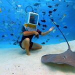 Private Tour: Aqua Safari Scuba Diving - Value and Unique Aspects