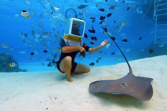 Private Tour: Aqua Safari Scuba Diving - Value and Unique Aspects