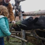 Private Tour at Historic Alaska Dairy Farm - Final Thoughts: Is This the Right Experience for You?
