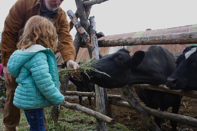 Private Tour at Historic Alaska Dairy Farm - Final Thoughts: Is This the Right Experience for You?