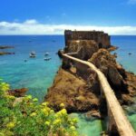 Private Tour: Berlenga Grande Island Day Trip from Lisbon - Who Should Consider This Tour?