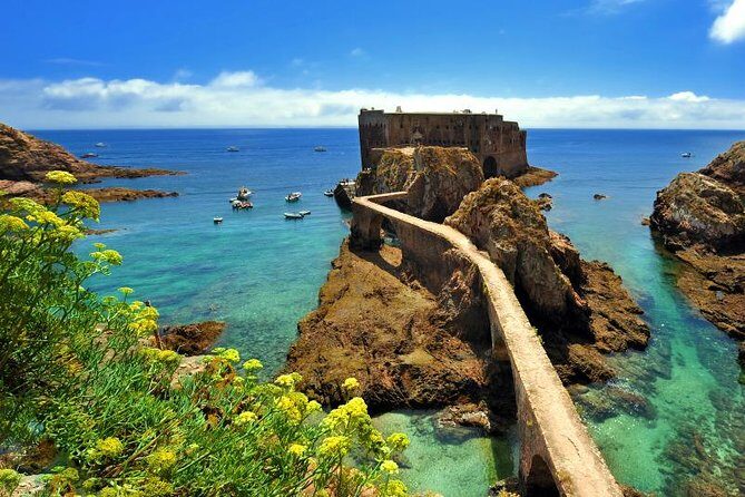 Private Tour: Berlenga Grande Island Day Trip from Lisbon - Who Should Consider This Tour?