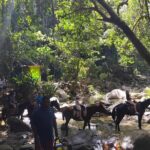 Private Tour Biausevu Waterfall and Fijian Village Experience - Final Thoughts: Is This Tour Right for You?