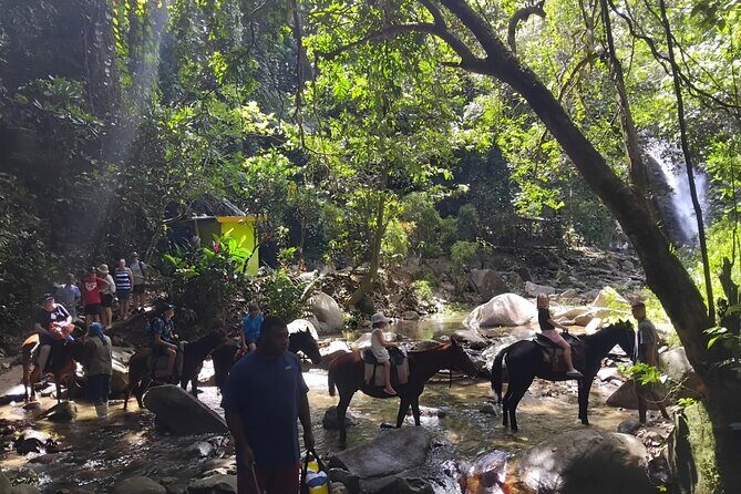 Private Tour Biausevu Waterfall and Fijian Village Experience - Final Thoughts: Is This Tour Right for You?