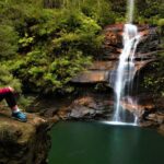 Private Tour Blue Mountains Day Adventure Wildlife + River Cruise - Itinerary Breakdown and Highlights