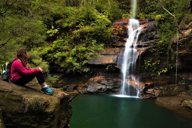 Private Tour Blue Mountains Day Adventure Wildlife + River Cruise - Itinerary Breakdown and Highlights