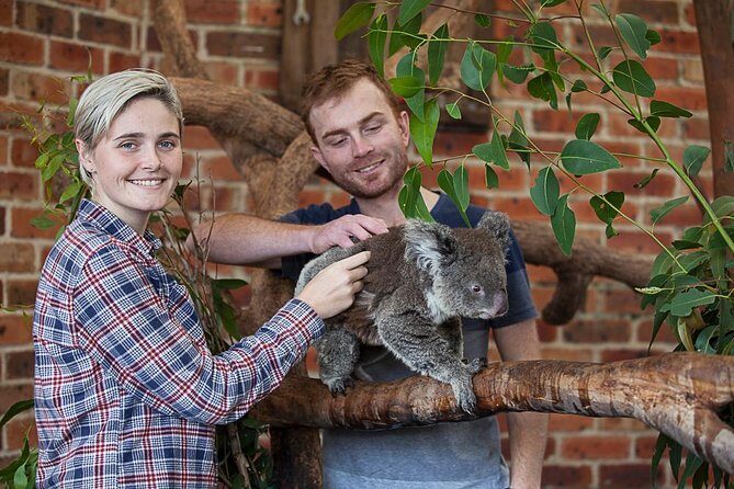 Private Tour: Blue Mountains Day Trip from Sydney - Why This Tour Works for You
