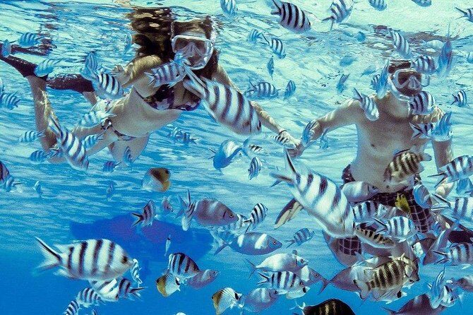 Private Tour: Bora Bora Lagoon Eco Snorkel Cruise - 3hrs or 6hrs - Who Is This Tour Best For?