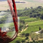 Private tour Brunello di Montalcino and Nobile di Montepulciano wine experience in Tuscany - Exploring the Itinerary
