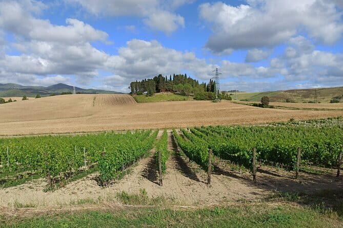 PRIVATE TOUR: Chianti Afternoon tour with visit to 2 wine farms - Final Thoughts