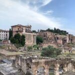 Private Tour Colosseum, Palatine Hill & Roman Forum - A Deep Dive into the Tour Experience