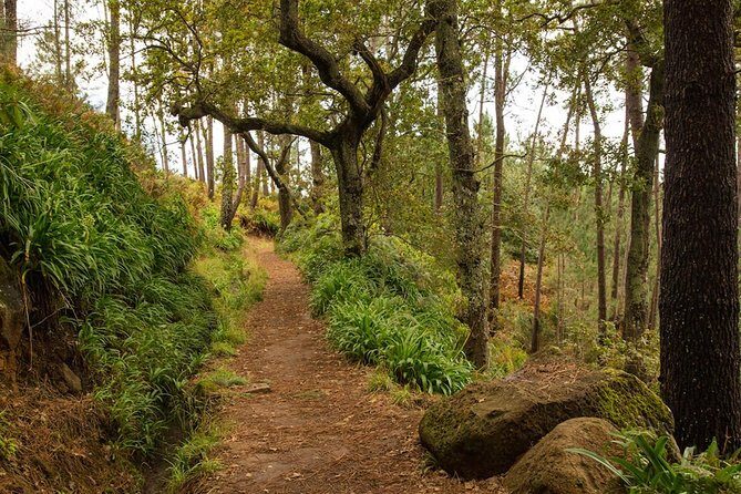 Private Tour: Combo Expedition (Jeep Tour & Levada Walk) - Authenticity and Value: What Travelers Say