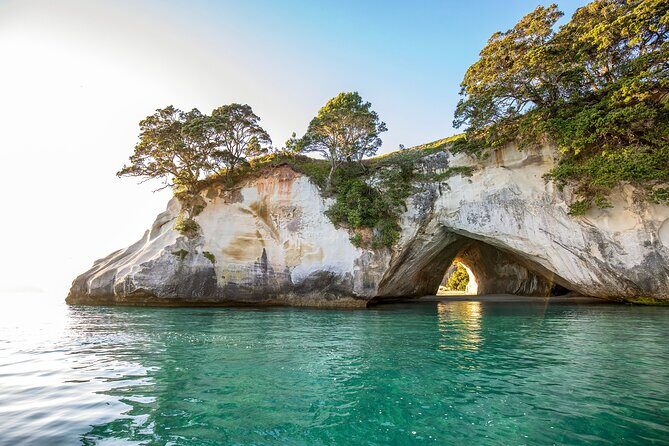 Private Tour - Coromandel Beach, Caves & Forest - Authentic Experiences and Honest Insights
