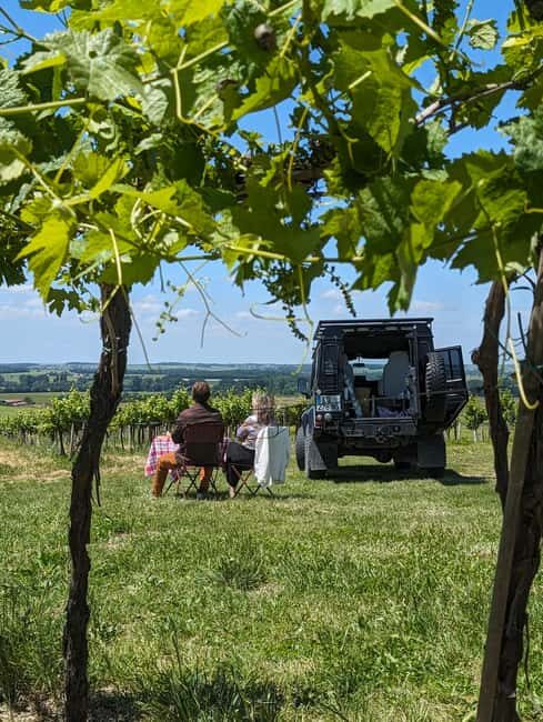 Private tour Day in the heart of the Cognac vineyards - Who Should Consider This Tour?