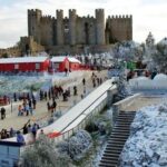 Private Tour: Discover the Rich Medieval History of Obidos - A Deep Dive Into the Obidos Private Tour Experience