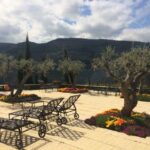 Private Tour: Douro Valley Wine and Food from Oporto - The Value of a Private, Customizable Experience