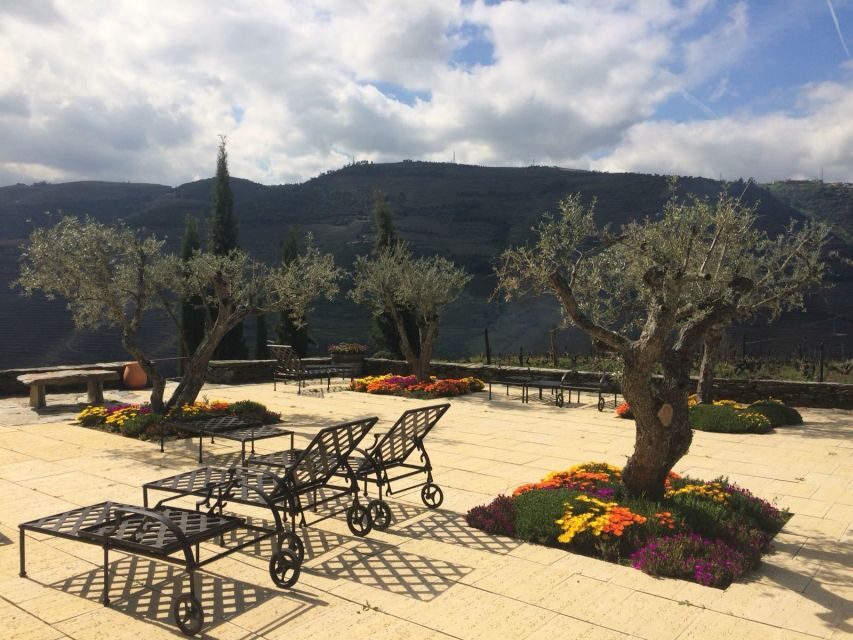 Private Tour: Douro Valley Wine and Food from Oporto - The Value of a Private, Customizable Experience