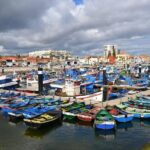 Private Tour for 1 to 8 people: Cristo Rei, Palmela, Setúbal, Arrábida, Sesimbra - Frequently Asked Questions