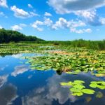 Private Tour from Bucharest to Danube Delta 2 Days Tour - The Experience in Detail