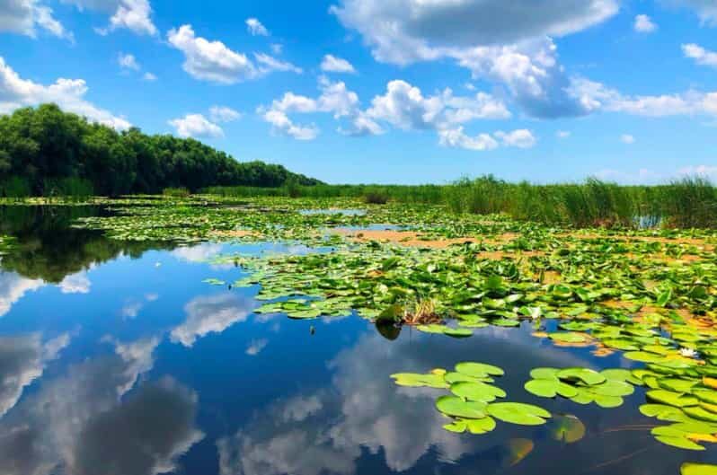 Private Tour from Bucharest to Danube Delta 2 Days Tour - The Experience in Detail