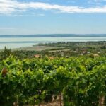 Private tour from Budapest to a top hidden treasure region of Europe: Lake Balaton - The Ferry Ride — A Fun and Scenic Return