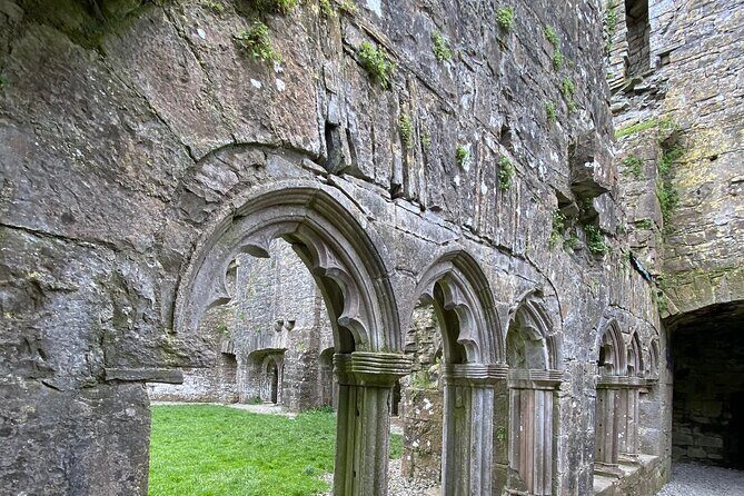 Private Tour from Dublin: Hill of Tara Trim Castle, Celtic sites - Who Would Love This Tour?