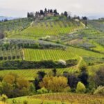 Private tour from Florence to Cortona and Arezzo - How the Experience Feels: Authenticity and Comfort