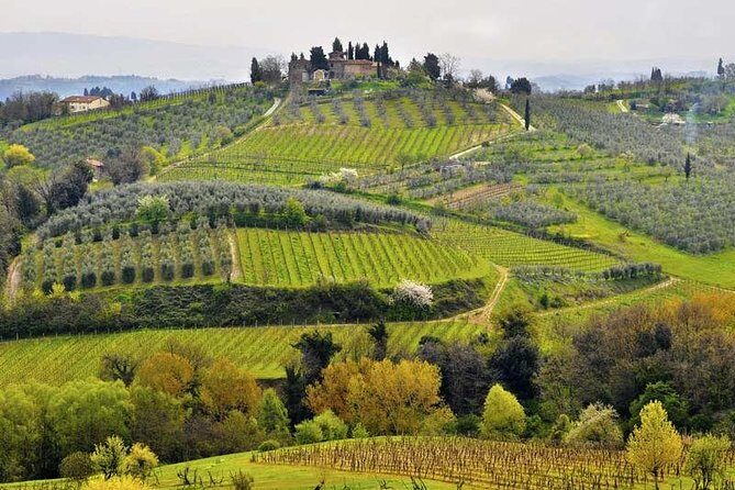 Private tour from Florence to Cortona and Arezzo - How the Experience Feels: Authenticity and Comfort