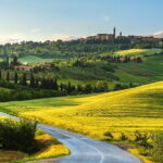Private tour from Florence to CORTONA & MONTEPULCIANO - Practical Details & Considerations