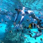 Private tour from Raiatea - 1/2 day excursion to Tahaa or other - Practical Considerations and Value