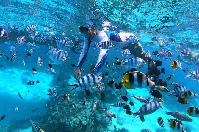 Private tour from Raiatea - 1/2 day excursion to Tahaa or other - Practical Considerations and Value
